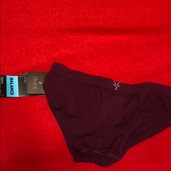 Ibex Art of the Wool bikini style panty - Picture 2 of 3